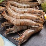 WhatsApp Image 2025-09-23 at 18.46.07