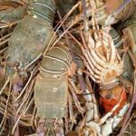 WhatsApp Image 2025-09-27 at 13.49.54 (1)