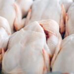 WhatsApp Image 2025-09-27 at 16.31.41